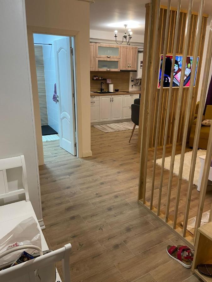 Apartament Gabriela 39 Baia Mare Luaran gambar