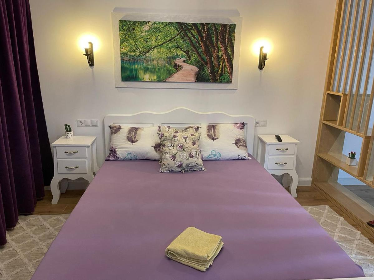 Apartament Gabriela 39 Baia Mare Luaran gambar