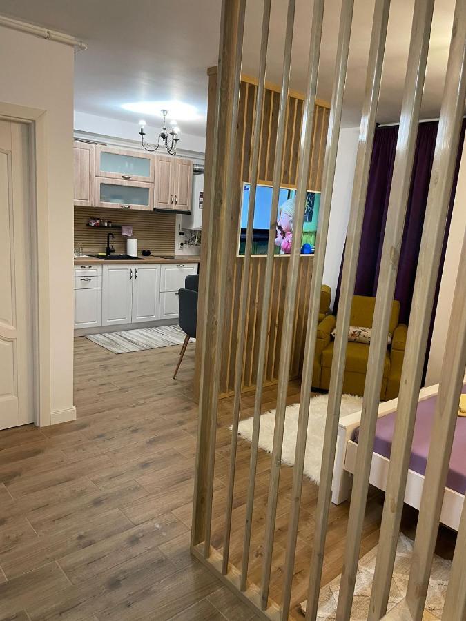 Apartament Gabriela 39 Baia Mare Luaran gambar