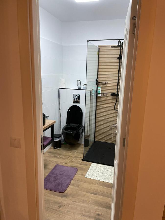 Apartament Gabriela 39 Baia Mare Luaran gambar