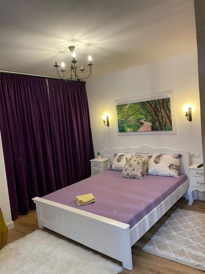 Apartament Gabriela 39 Baia Mare Luaran gambar
