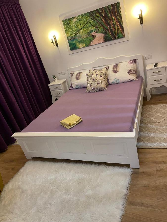 Apartament Gabriela 39 Baia Mare Luaran gambar