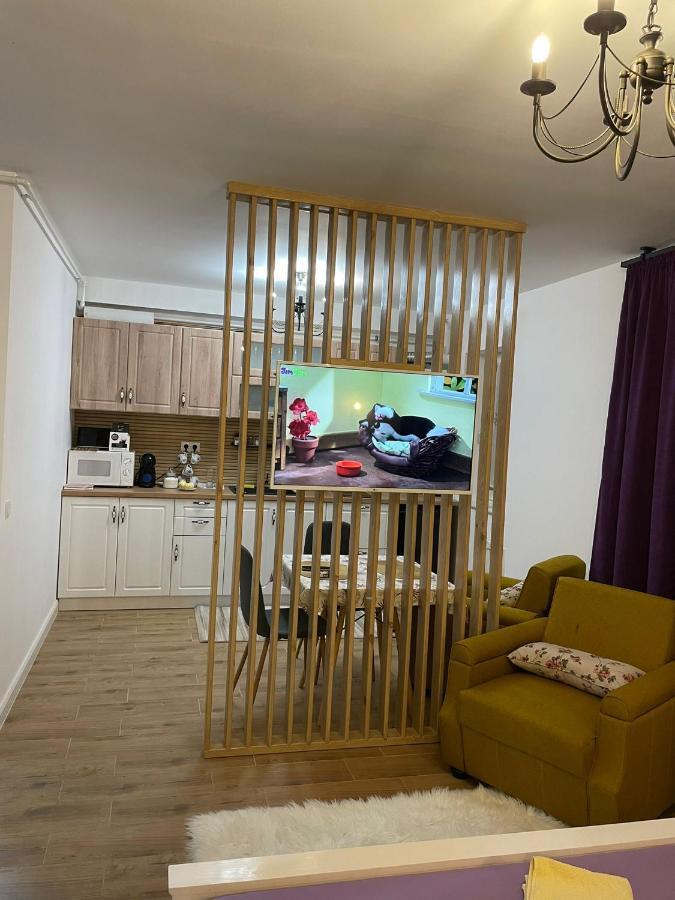 Apartament Gabriela 39 Baia Mare Luaran gambar