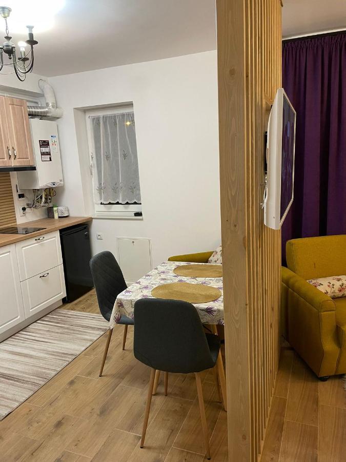 Apartament Gabriela 39 Baia Mare Luaran gambar