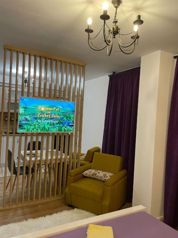 Apartament Gabriela 39 Baia Mare Luaran gambar