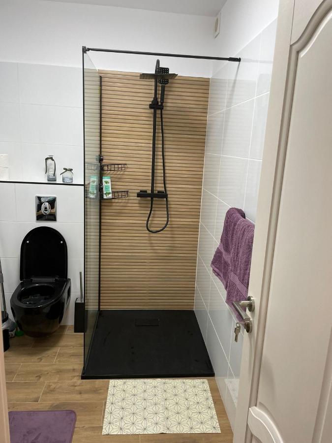 Apartament Gabriela 39 Baia Mare Luaran gambar
